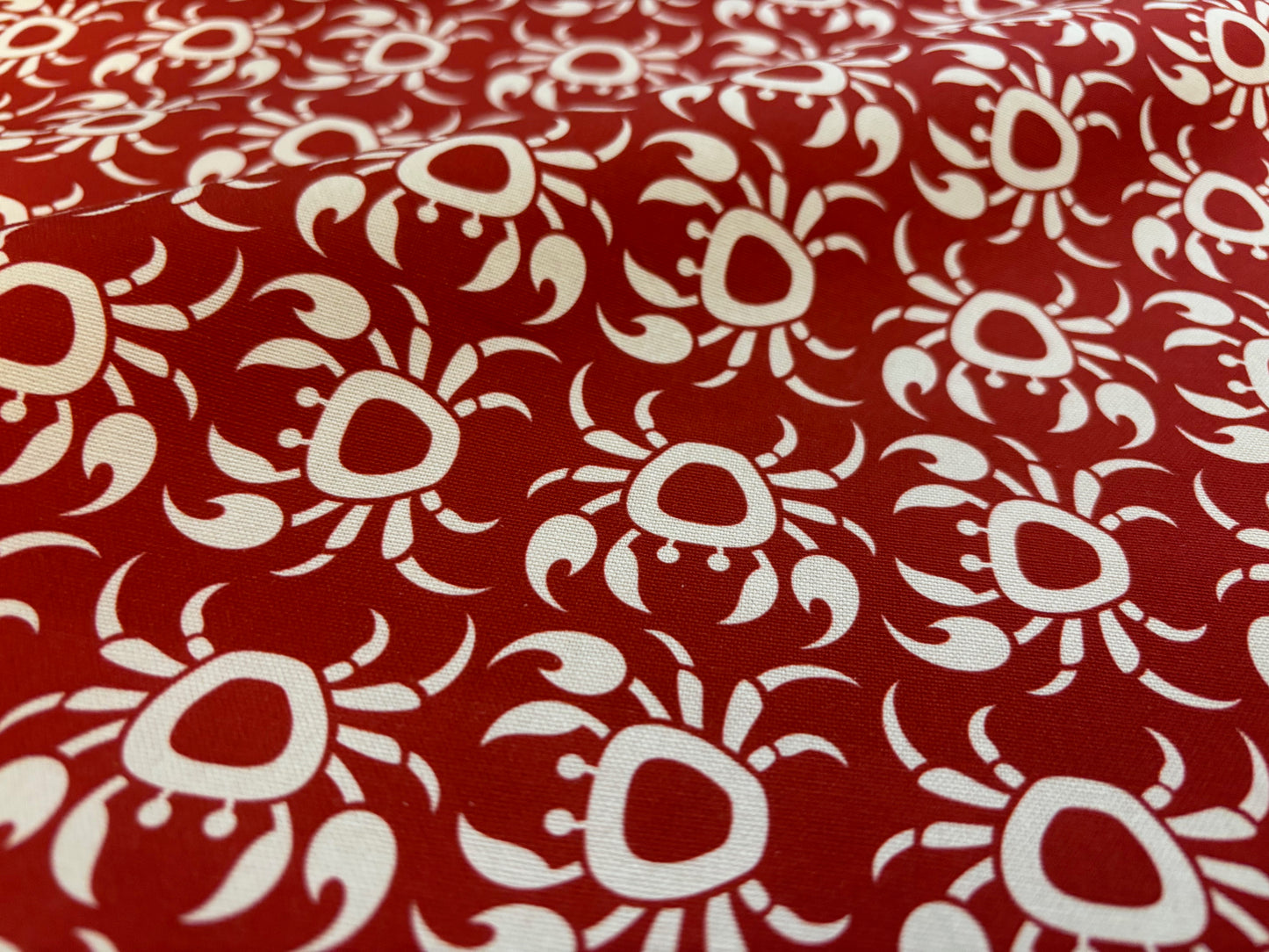 BIO-Canvas Krebse Rot Natur