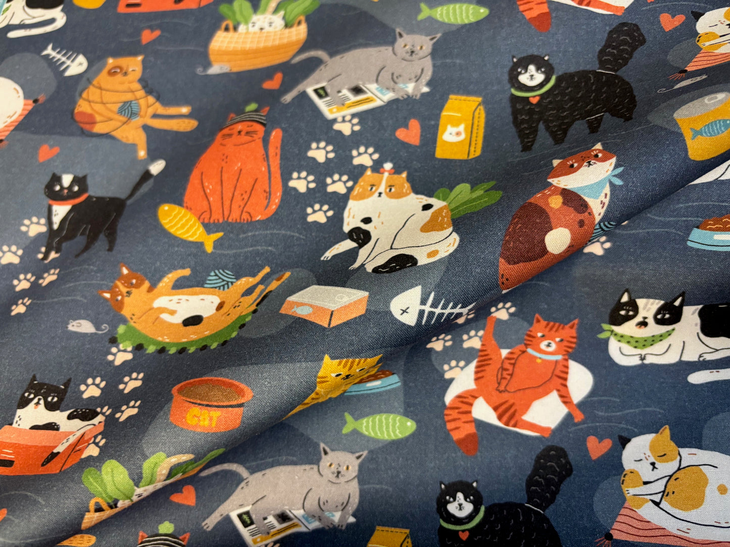 Baumwollstoff Here Kitty Katzen