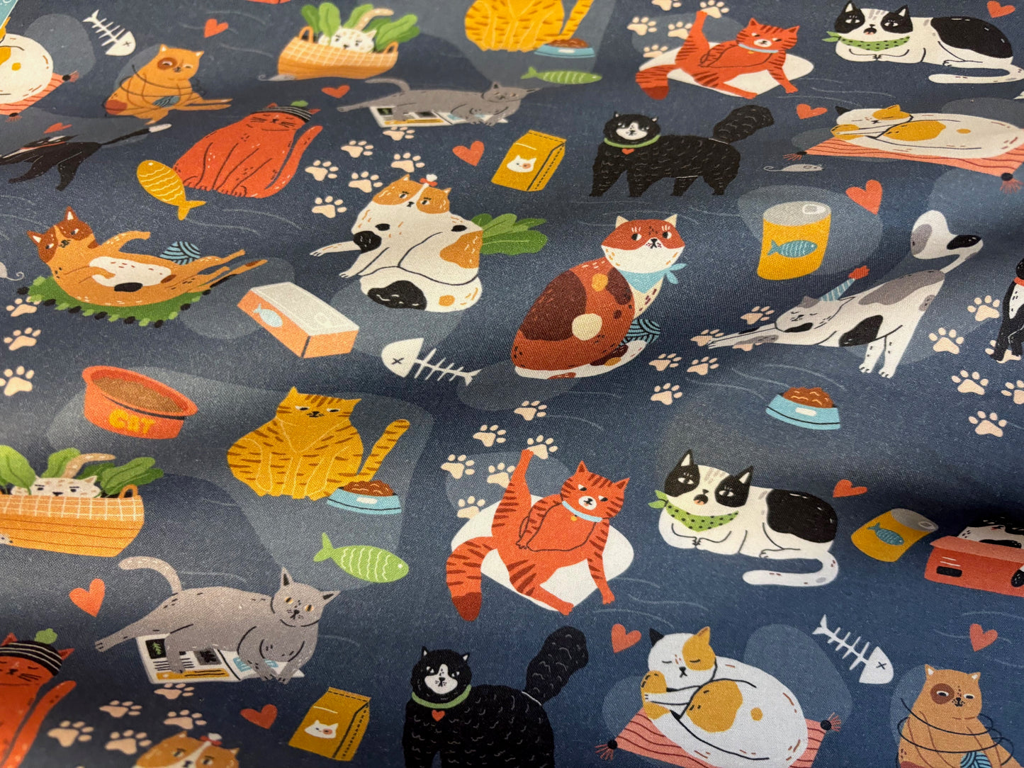 Baumwollstoff Here Kitty Katzen