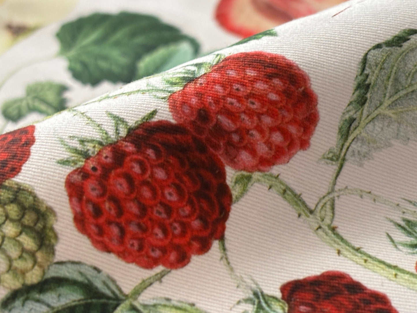 Canvas Fruits Francaise Früchte