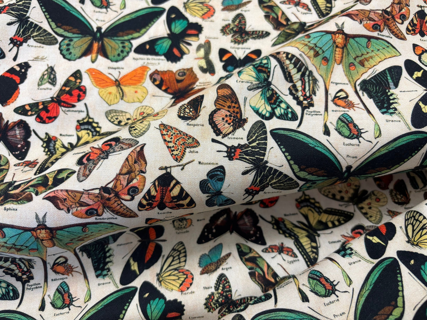 Baumwollstoff Schmetterlinge PALETTE