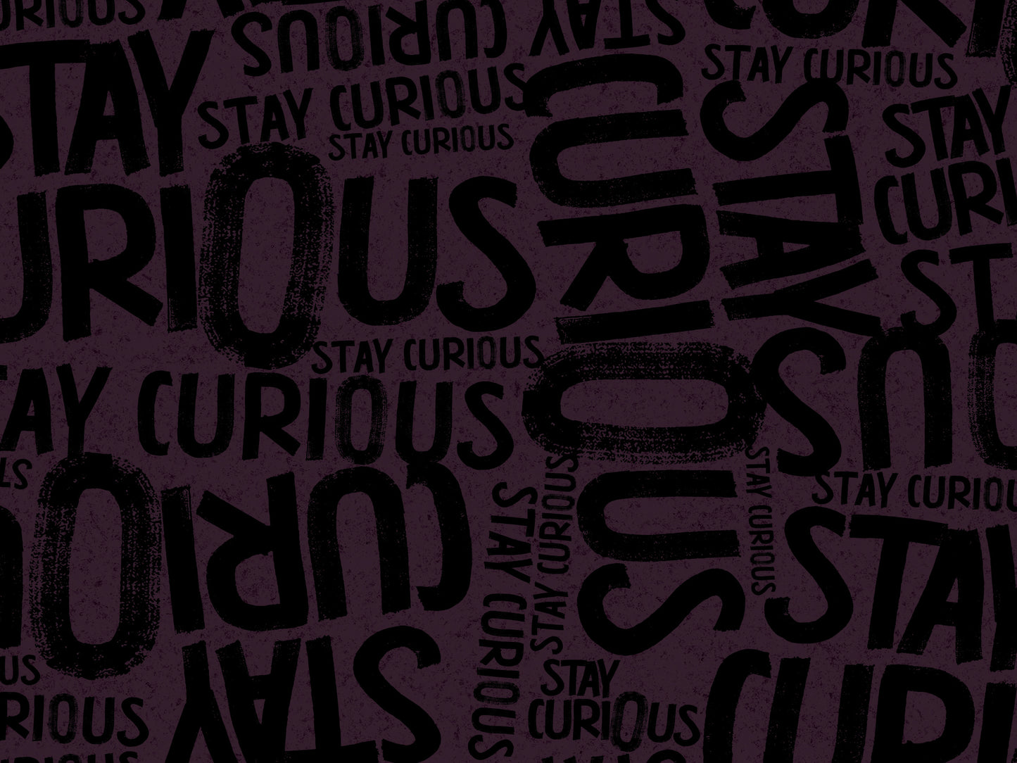 French Terry Stay Curious