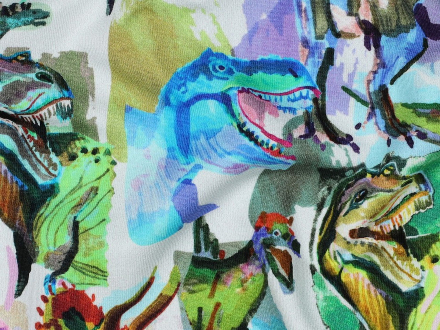 French Terry Bunte Dinosaurierwelt