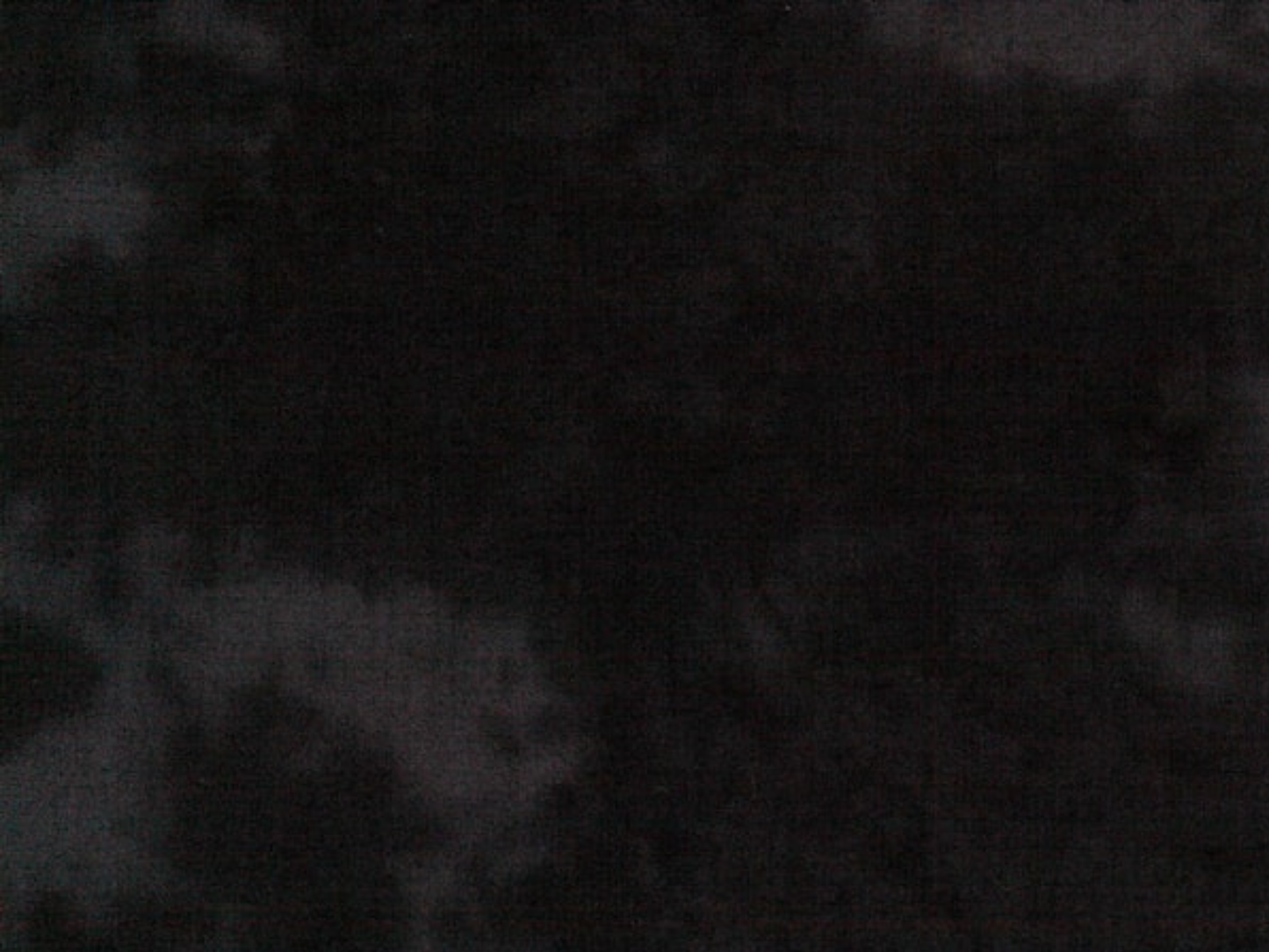 Baumwollstoff Schwarz Quilters Shadow 908