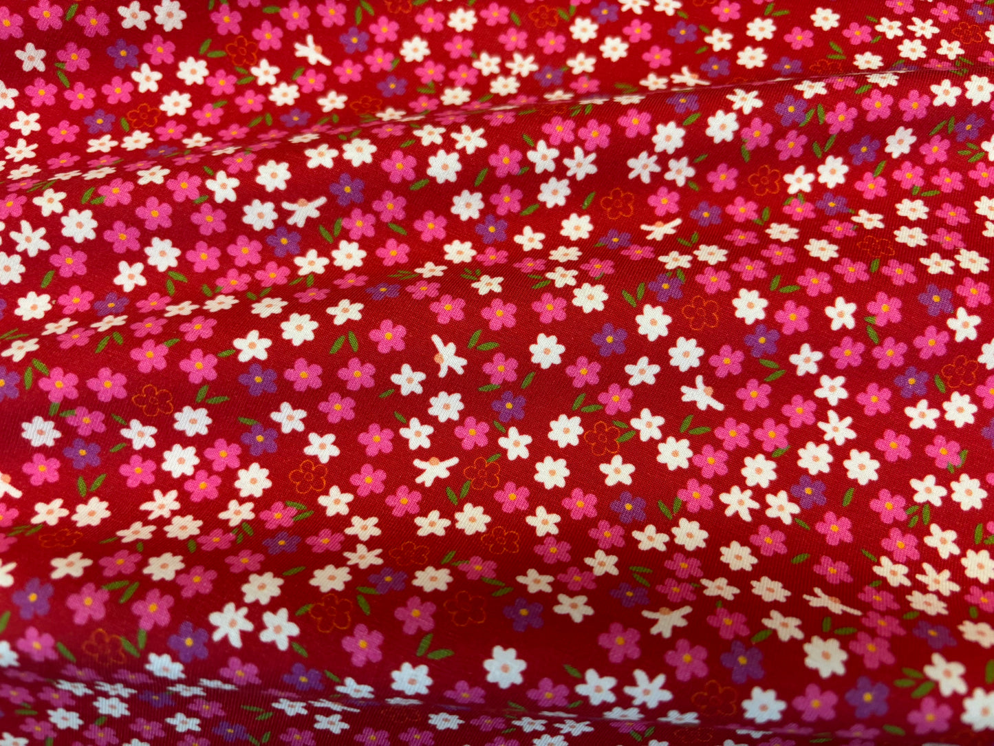 Jersey Streublümchen Rot Avalana