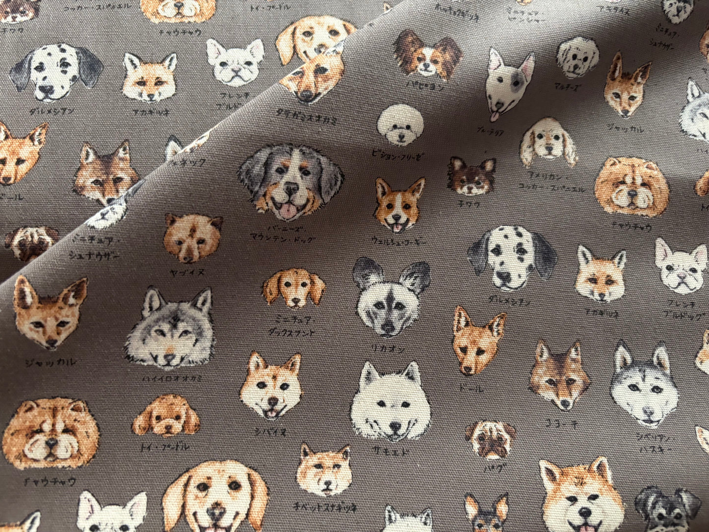 Canvas Hunde KOKKA