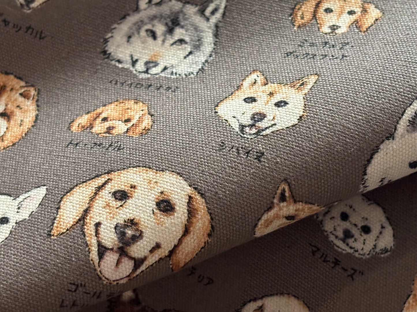 Canvas Hunde KOKKA