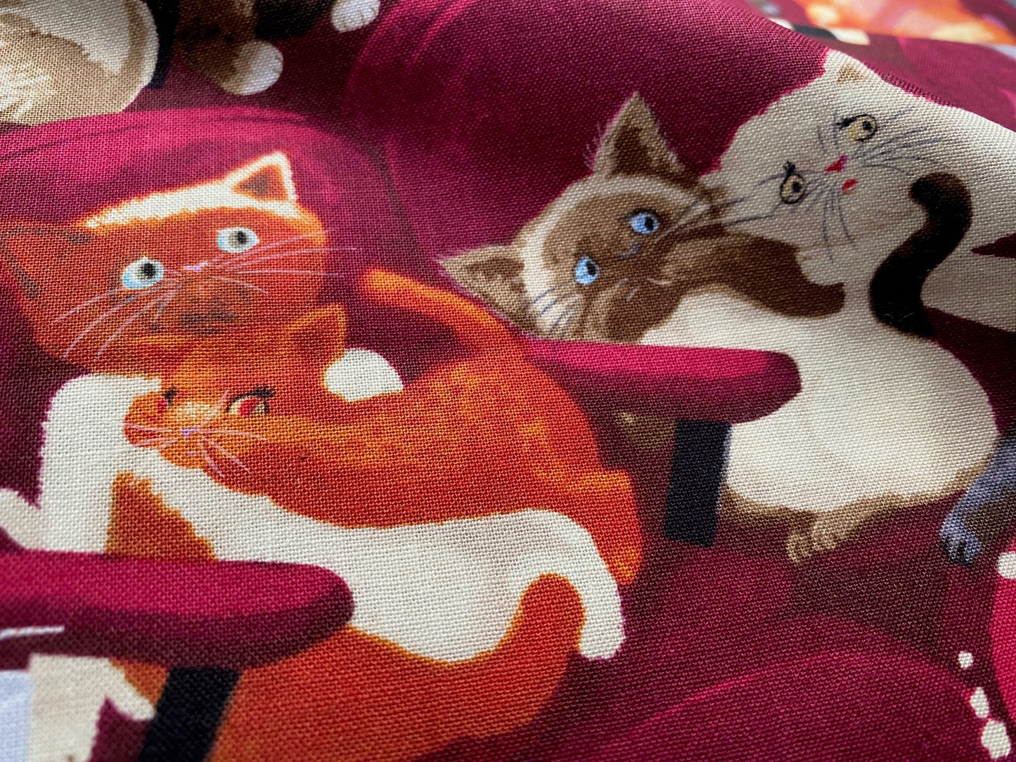 Baumwollstoff Katzen im Kino