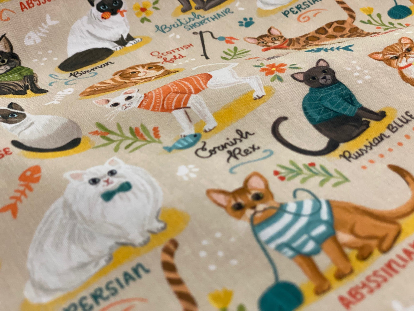 Baumwollstoff Echte Rassekatzen