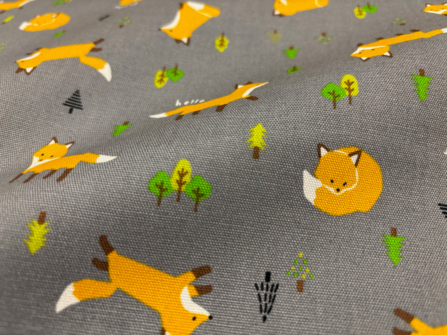 Canvas Hello Foxfox Füchse