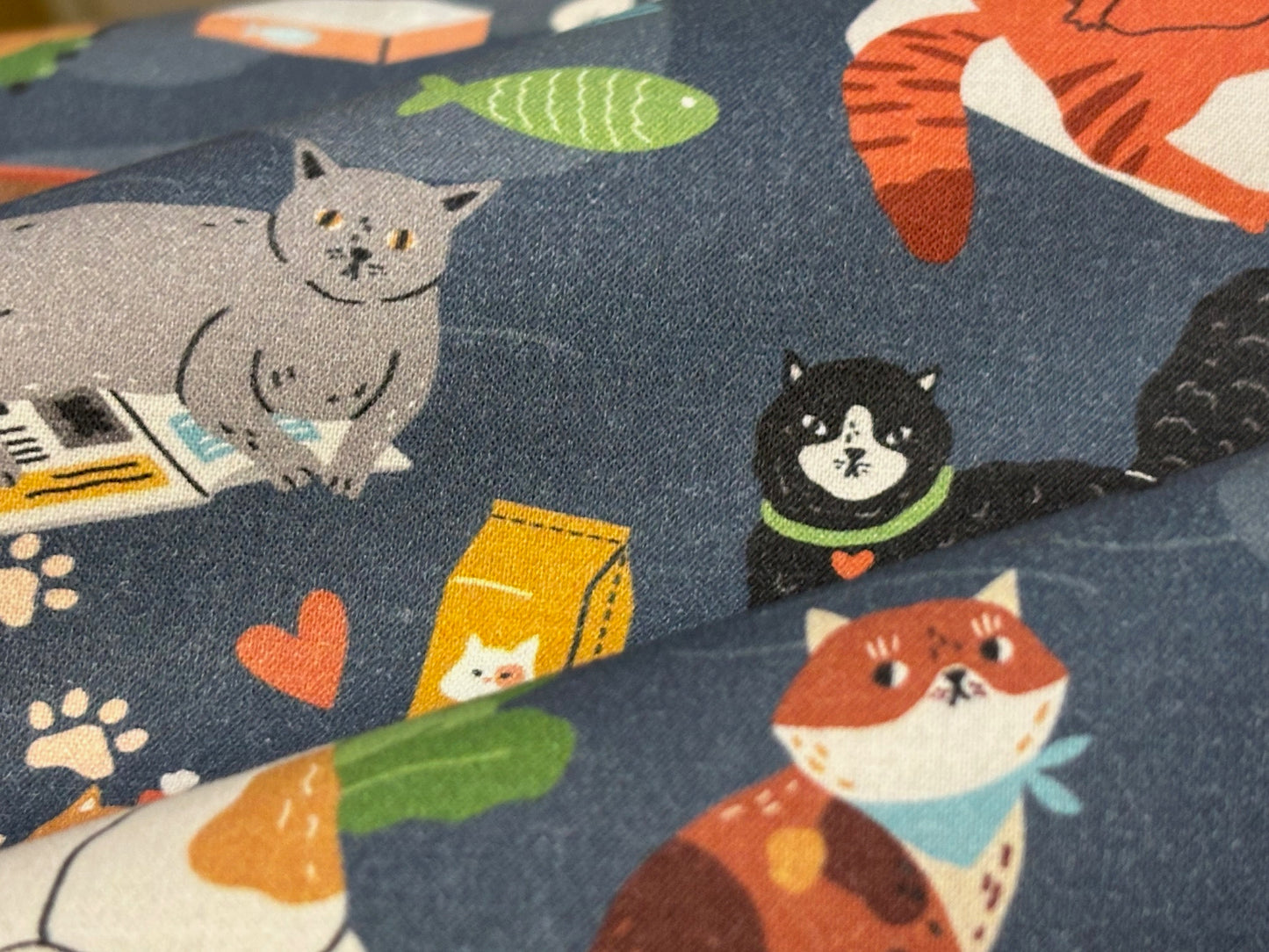 Baumwollstoff Here Kitty Katzen