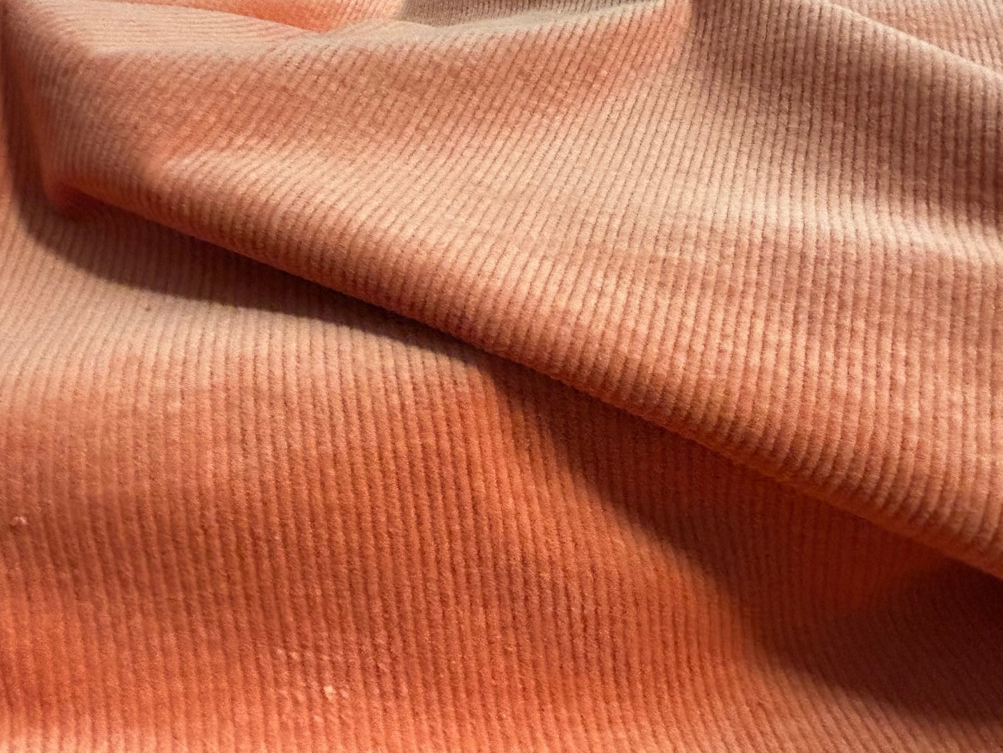 Breitcord Uni Apricot