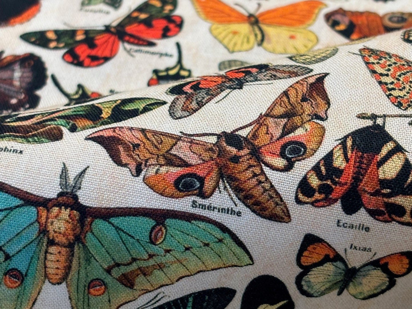 Baumwollstoff Schmetterlinge PALETTE