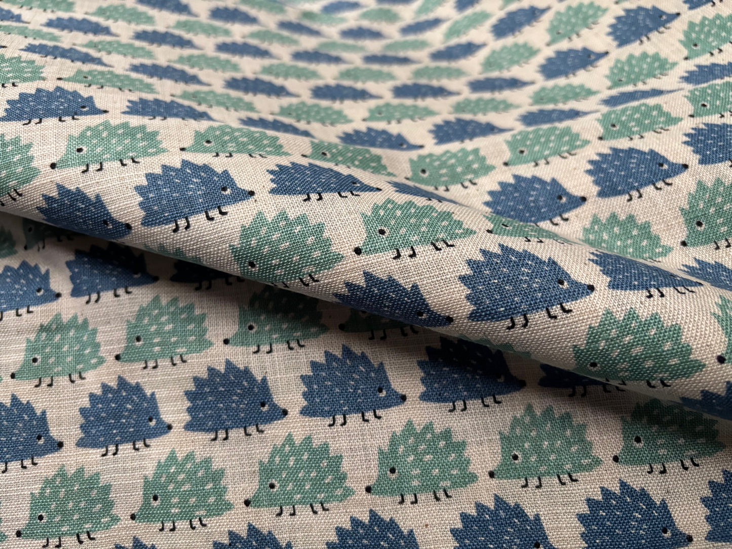 Canvas Igel im Rapport