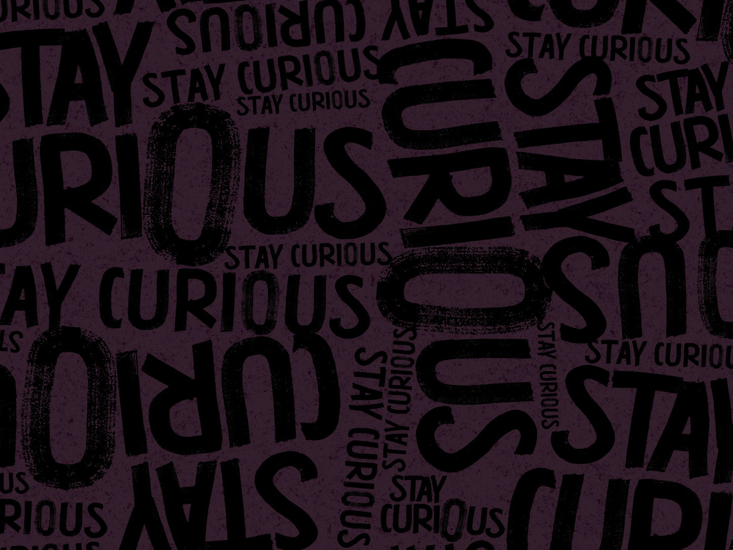 French Terry Stay Curious