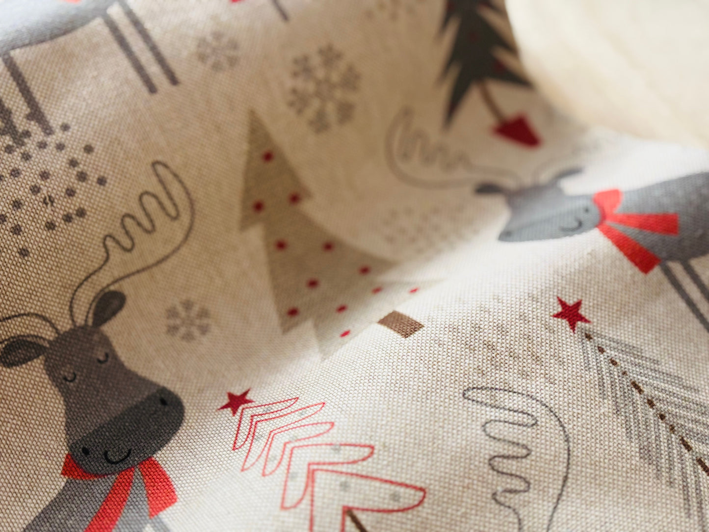 Canvas Weihnachtselch