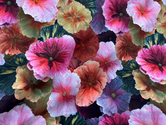 French Terry Flowers Digitaldruck