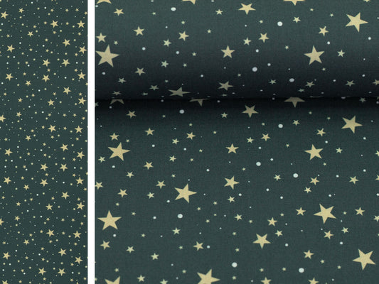 Weihnachtsstoff Björn Sternenhimmel