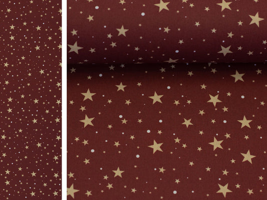 Weihnachtsstoff Björn Sternenhimmel