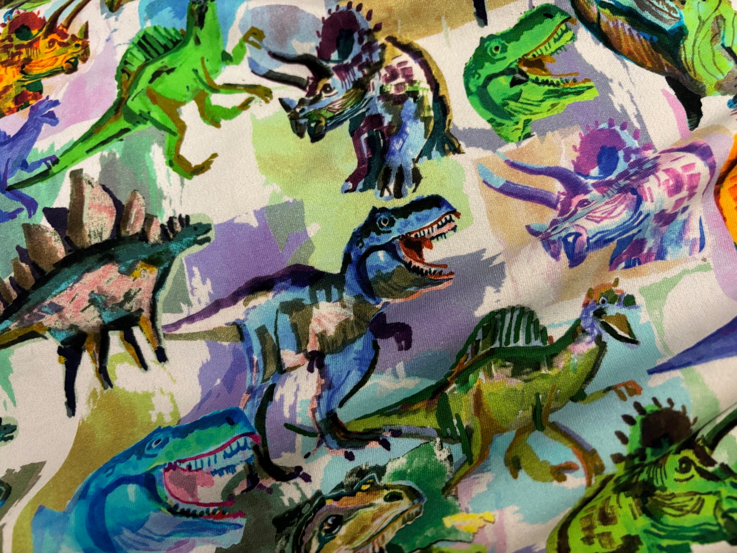 French Terry Bunte Dinosaurierwelt