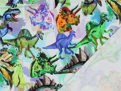 French Terry Bunte Dinosaurierwelt