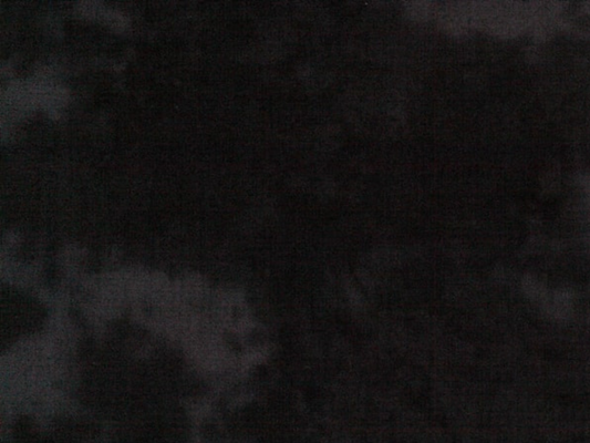 Baumwollstoff Schwarz Quilters Shadow 908