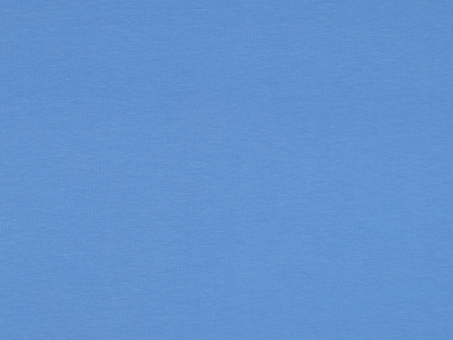 Bio-Baumwolljersey Uni Himmelblau