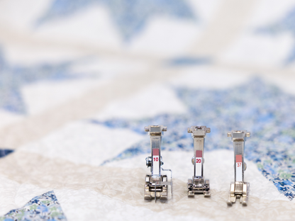BERNINA 480 LIBERTY Edition