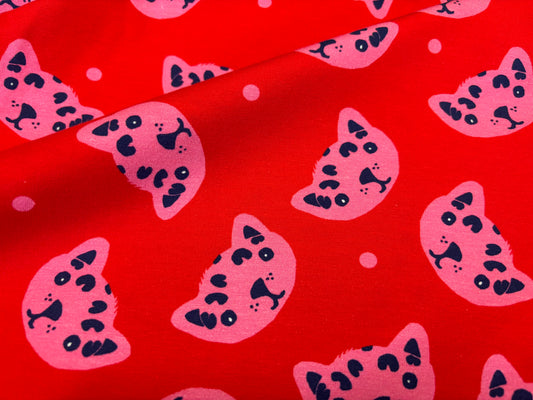 Jersey Cat Pink Avalana