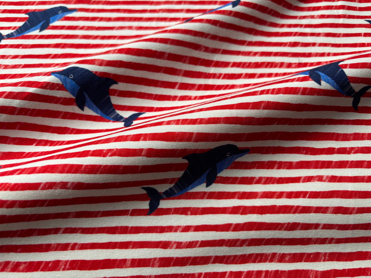 Jersey Delphine Rot gestreift