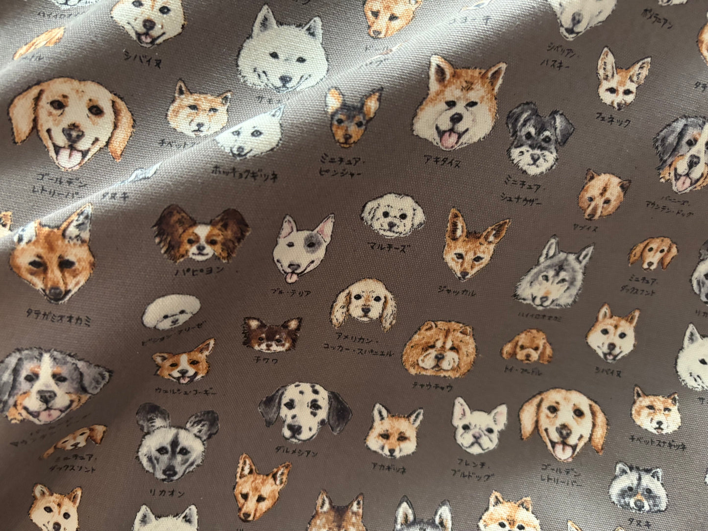 Canvas Hunde KOKKA