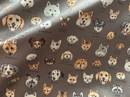 Canvas Hunde KOKKA