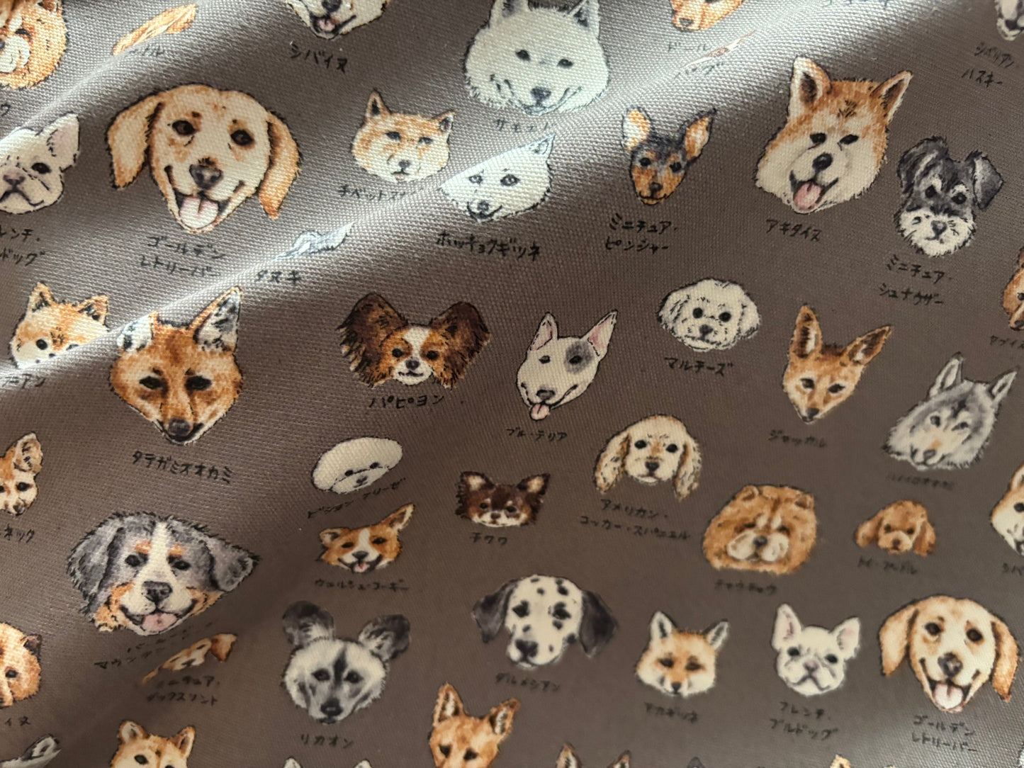 Canvas Hunde KOKKA