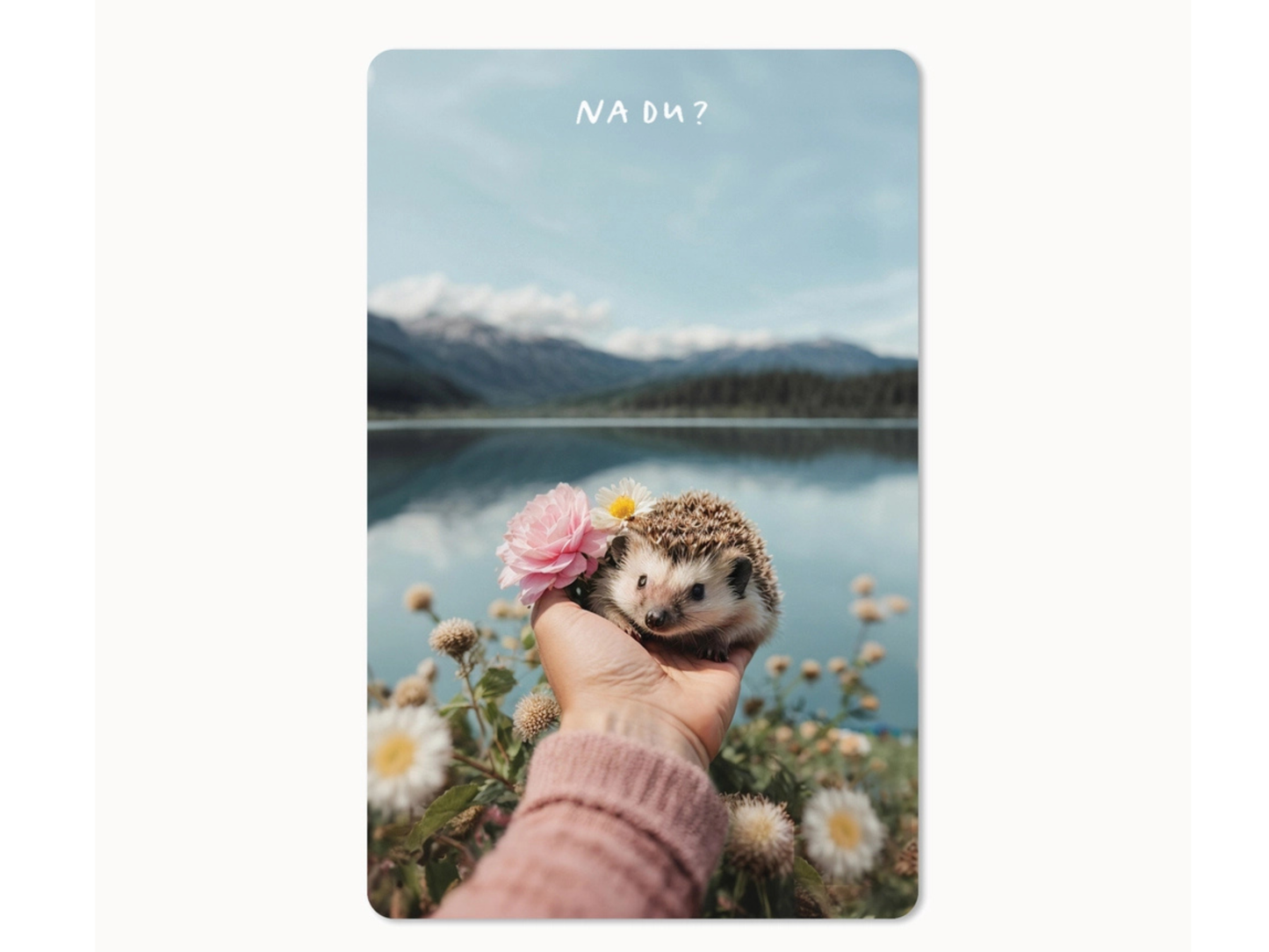 Postkarte Lunacard Igel