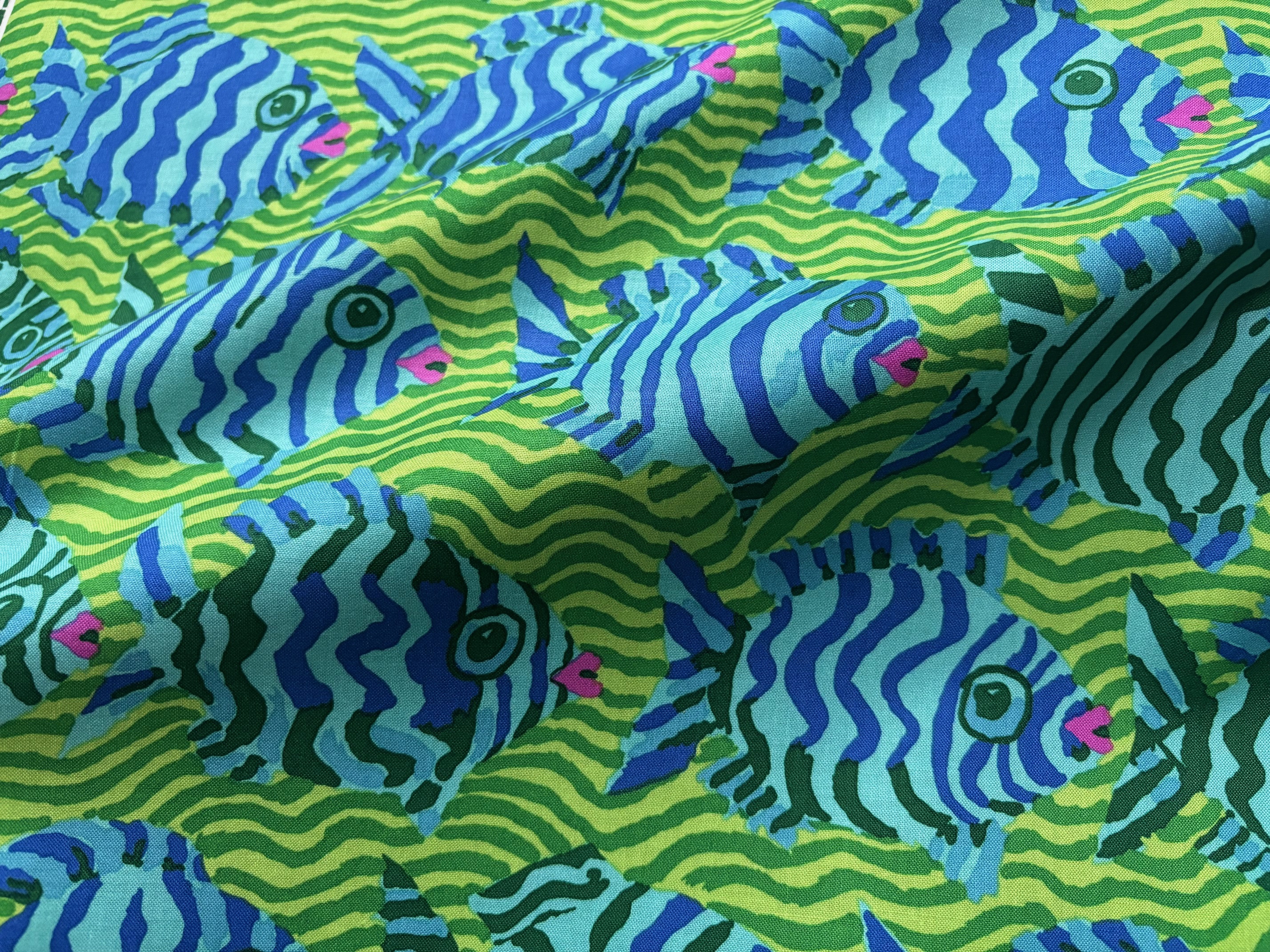 Baumwollstoff Minnows Fische Kaffe Fassett